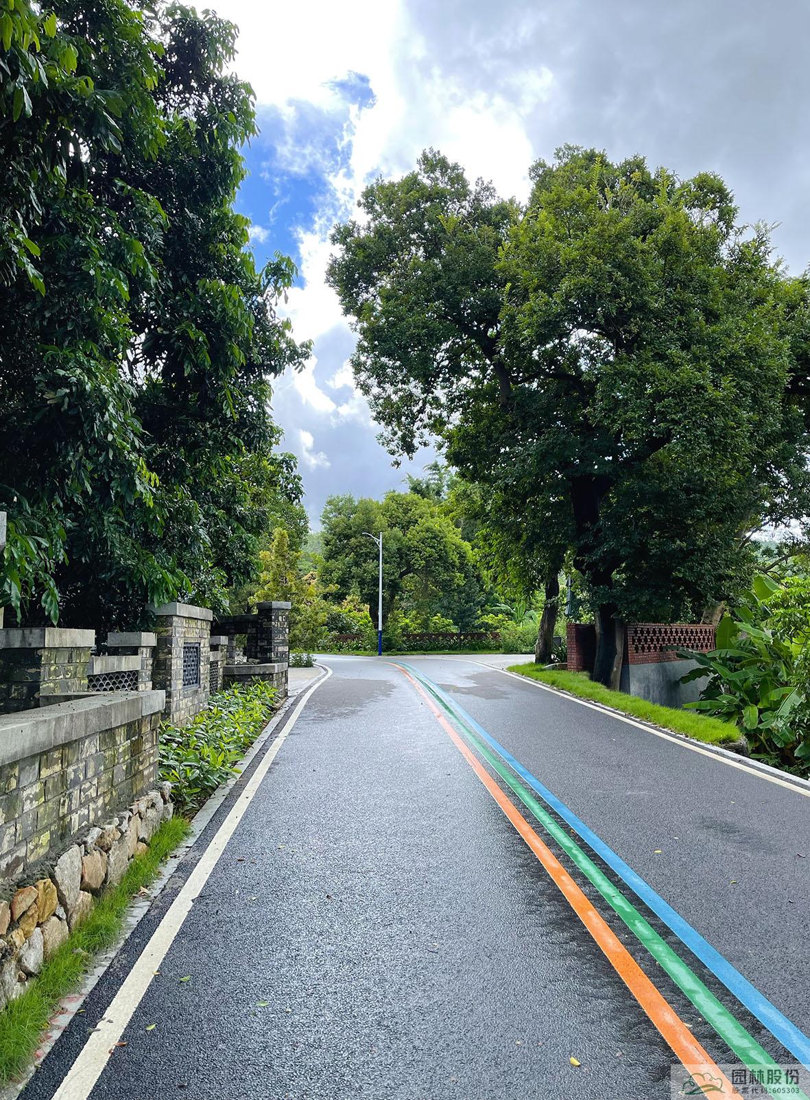 亚洲精品白浆高清久久久久久