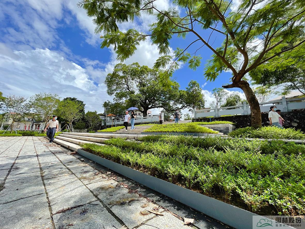 亚洲精品白浆高清久久久久久