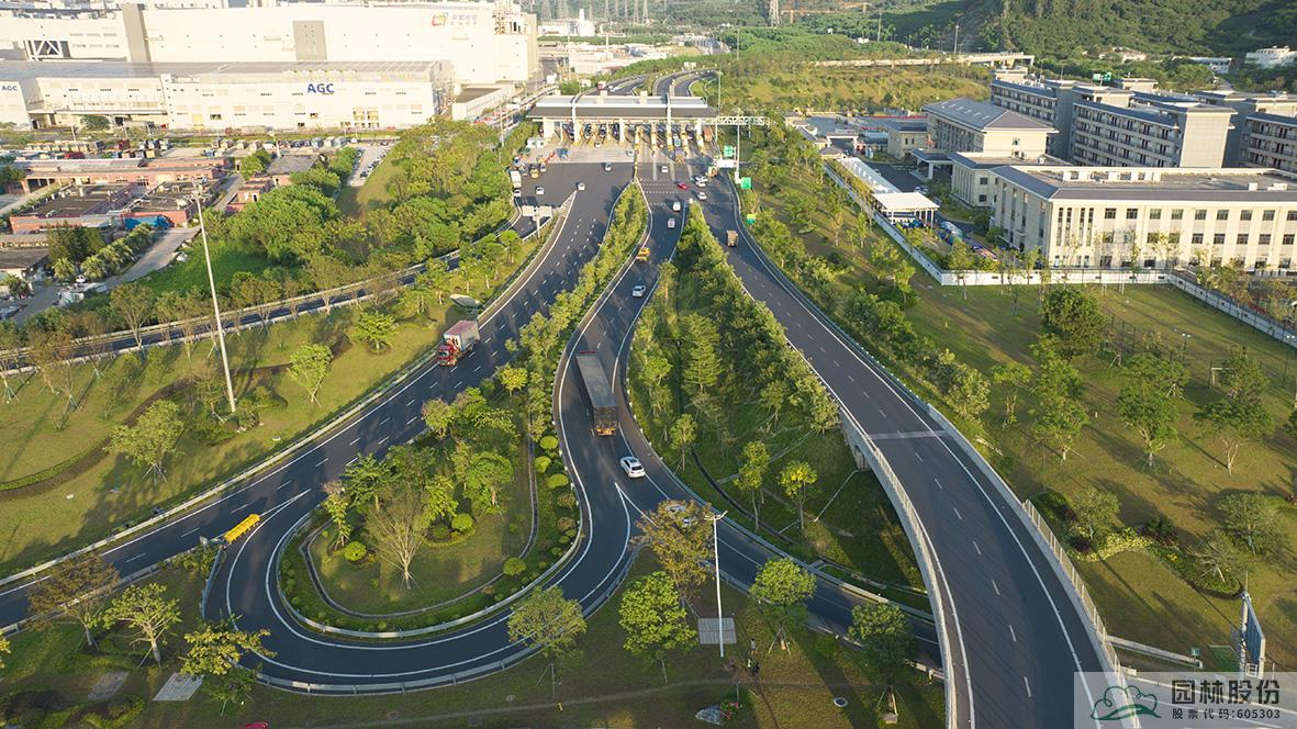 亚洲精品白浆高清久久久久久