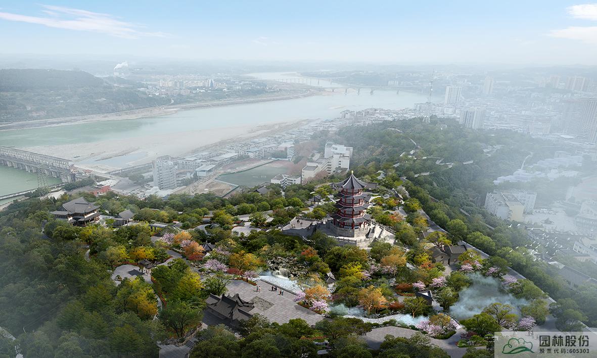 亚洲精品白浆高清久久久久久