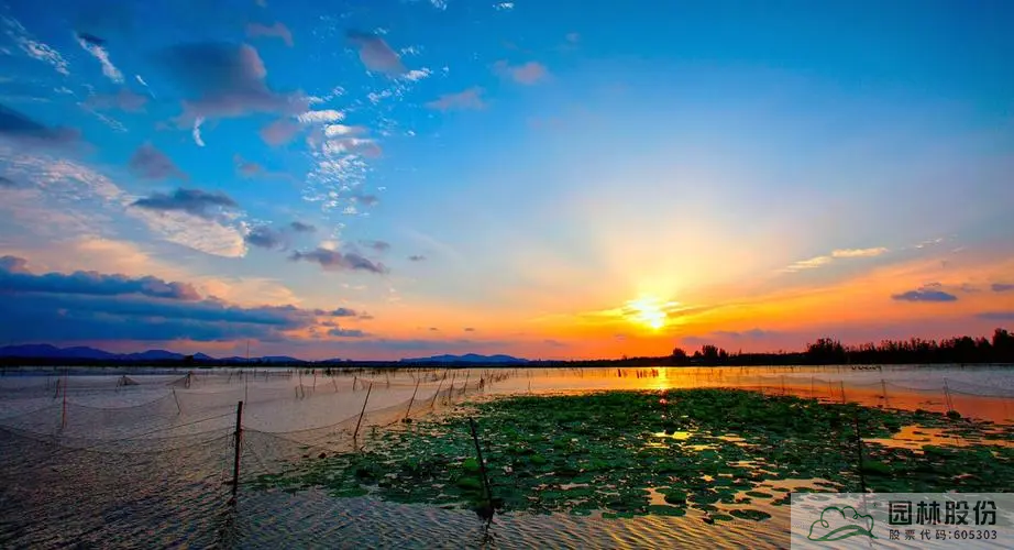 亚洲精品白浆高清久久久久久