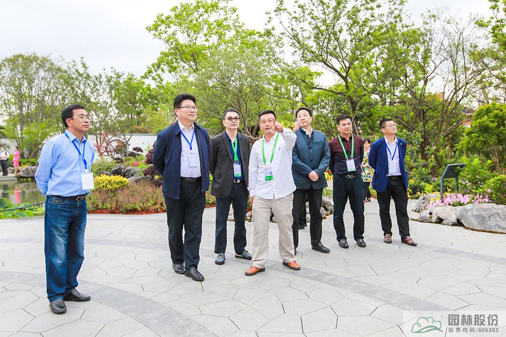 亚洲精品白浆高清久久久久久