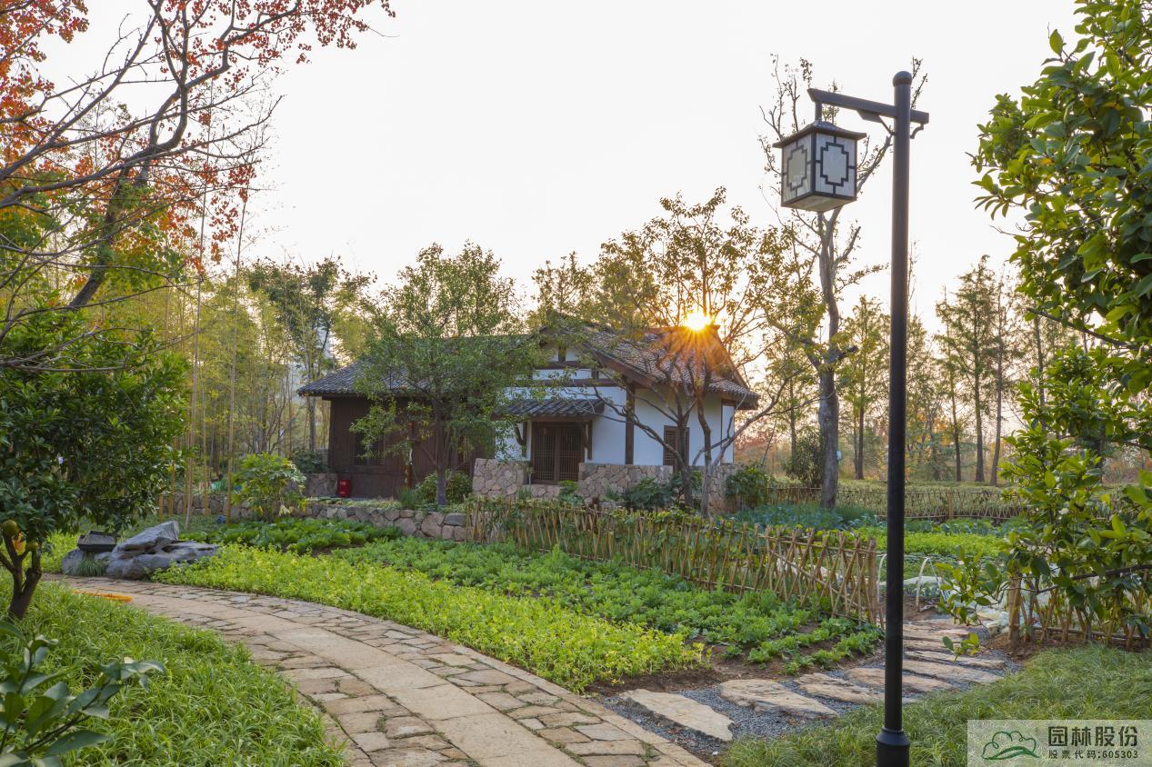 亚洲精品白浆高清久久久久久