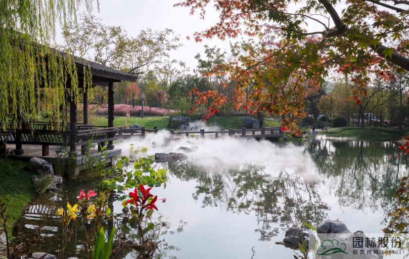 亚洲精品白浆高清久久久久久