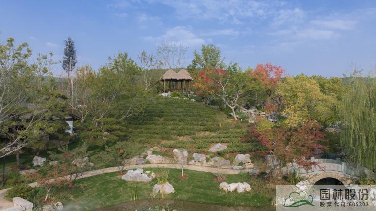 亚洲精品白浆高清久久久久久