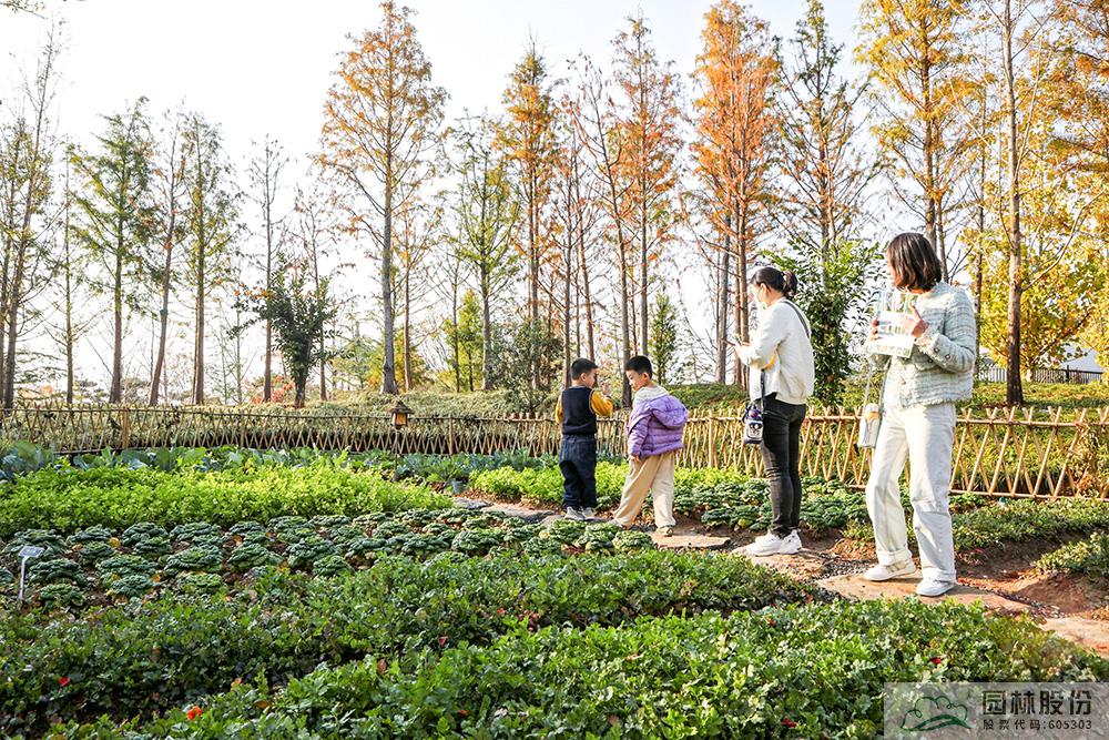 亚洲精品白浆高清久久久久久