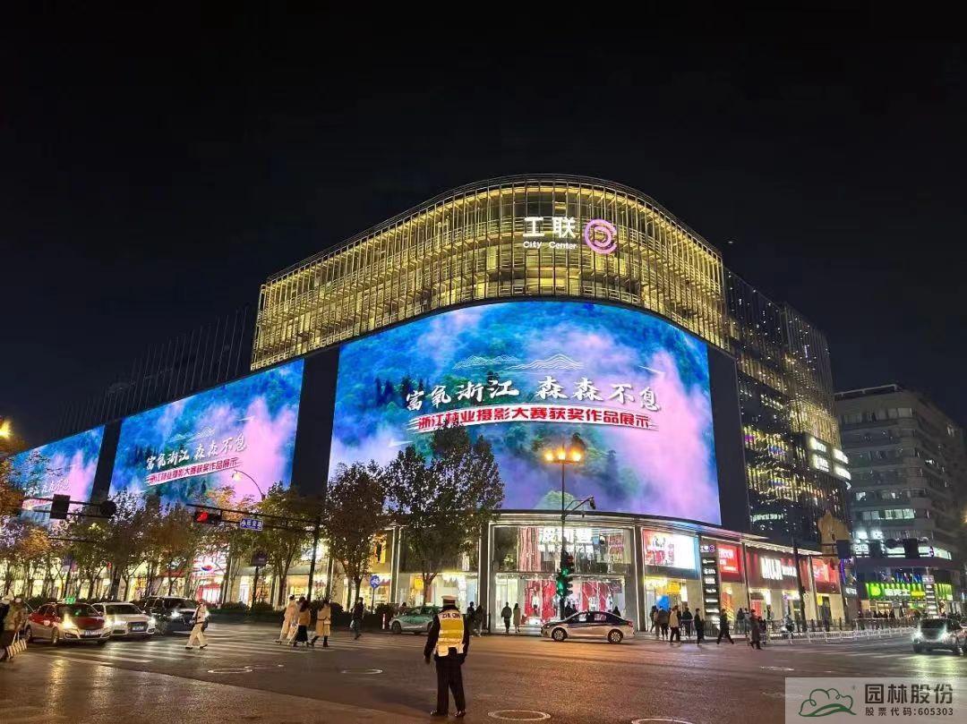 亚洲精品白浆高清久久久久久