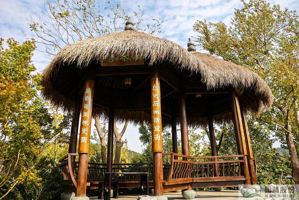 亚洲精品白浆高清久久久久久