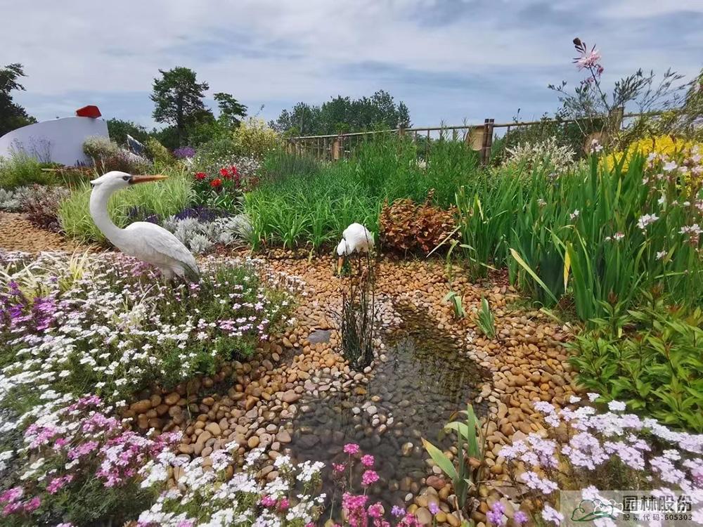 亚洲精品白浆高清久久久久久