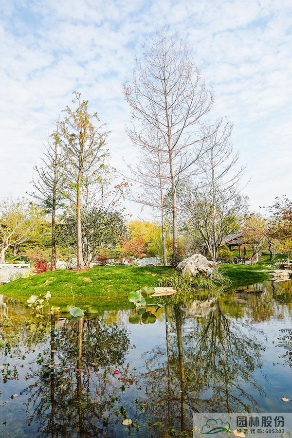 亚洲精品白浆高清久久久久久