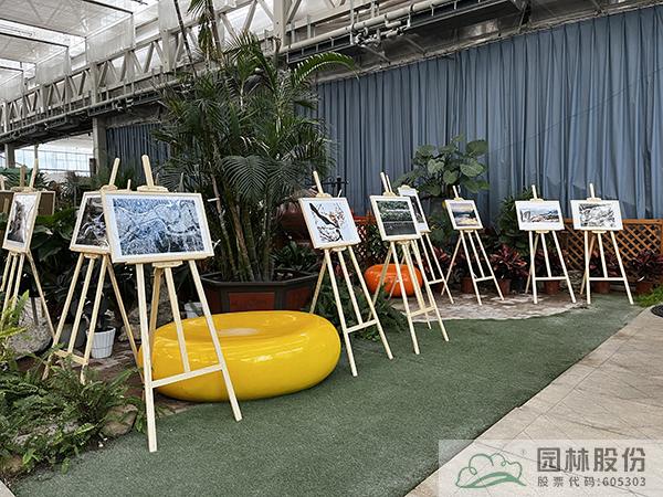 亚洲精品白浆高清久久久久久