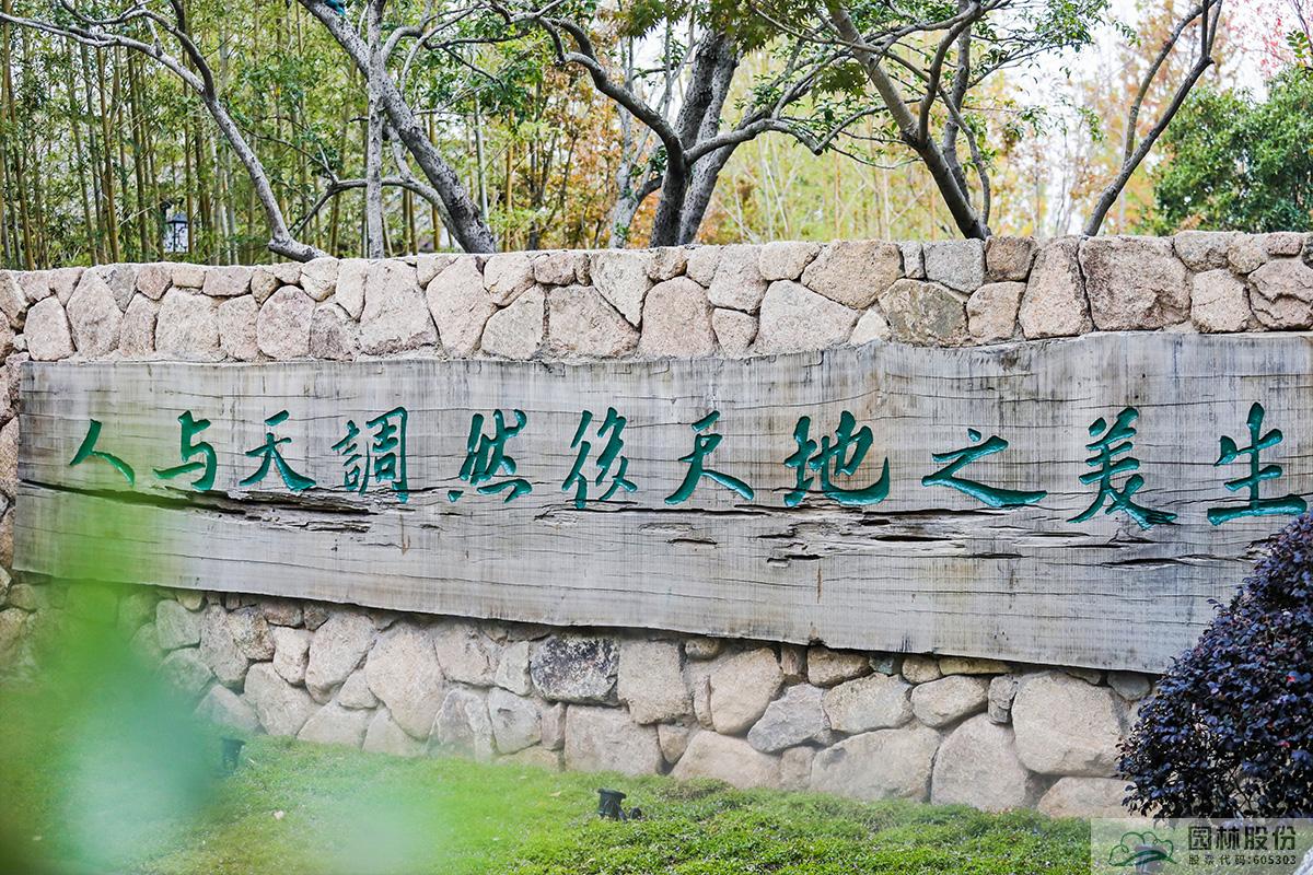 亚洲精品白浆高清久久久久久