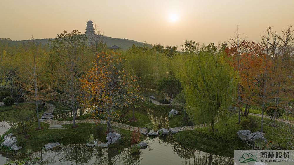 亚洲精品白浆高清久久久久久