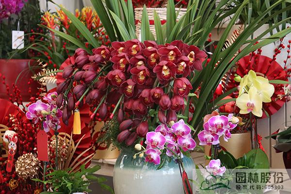 亚洲精品白浆高清久久久久久