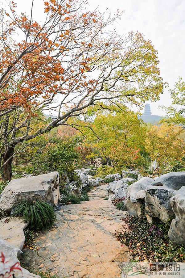 亚洲精品白浆高清久久久久久