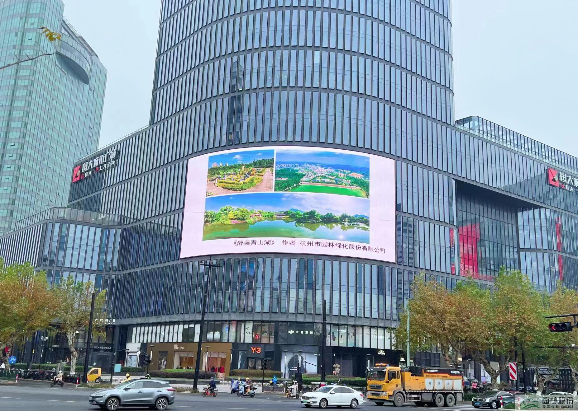 亚洲精品白浆高清久久久久久