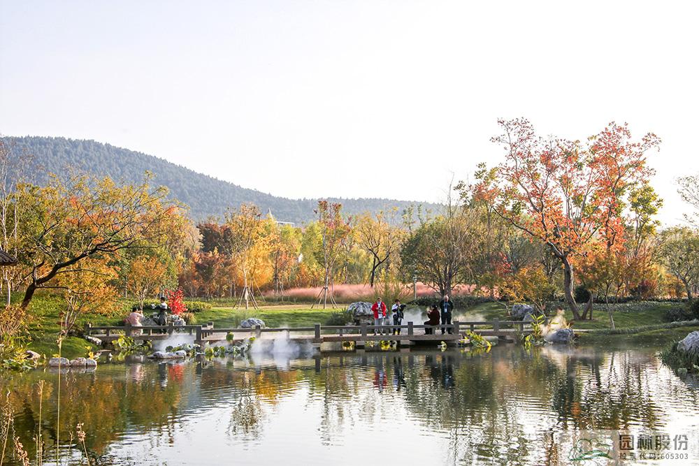 亚洲精品白浆高清久久久久久