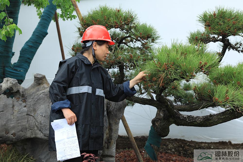 亚洲精品白浆高清久久久久久