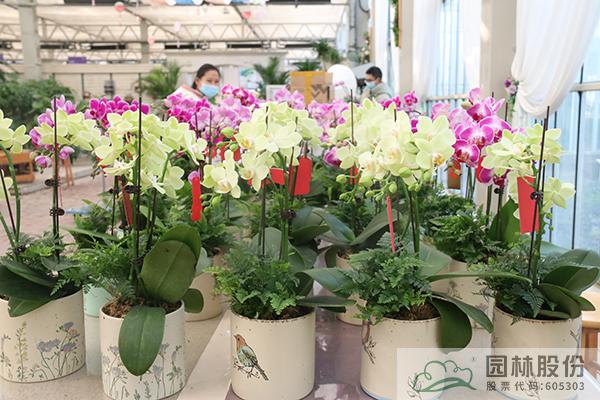 亚洲精品白浆高清久久久久久