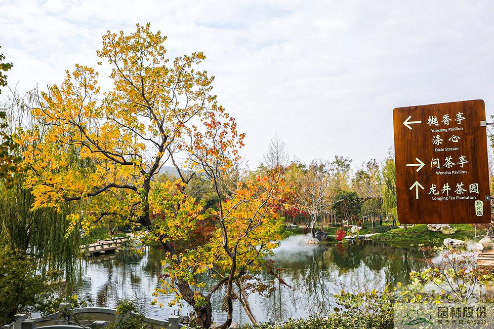 亚洲精品白浆高清久久久久久