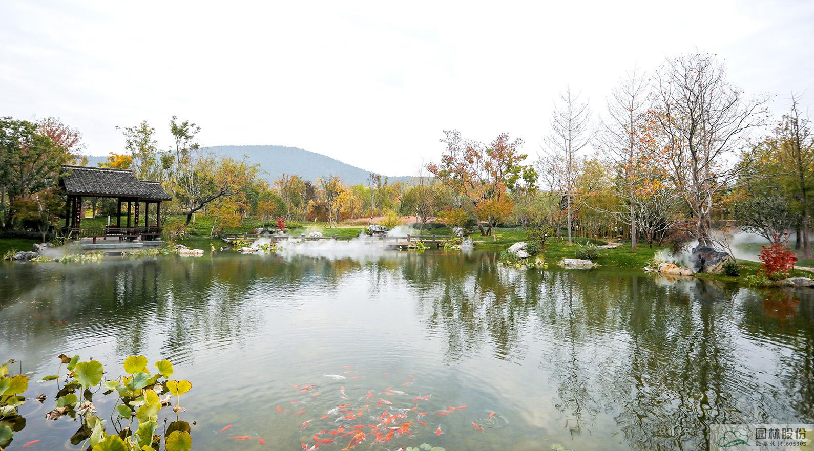 亚洲精品白浆高清久久久久久