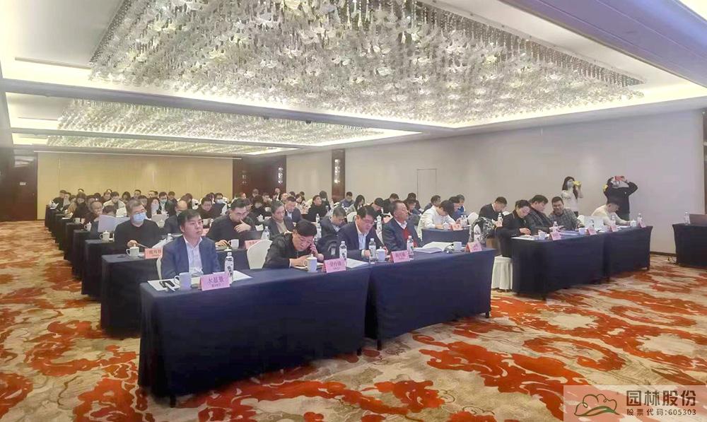 亚洲精品白浆高清久久久久久