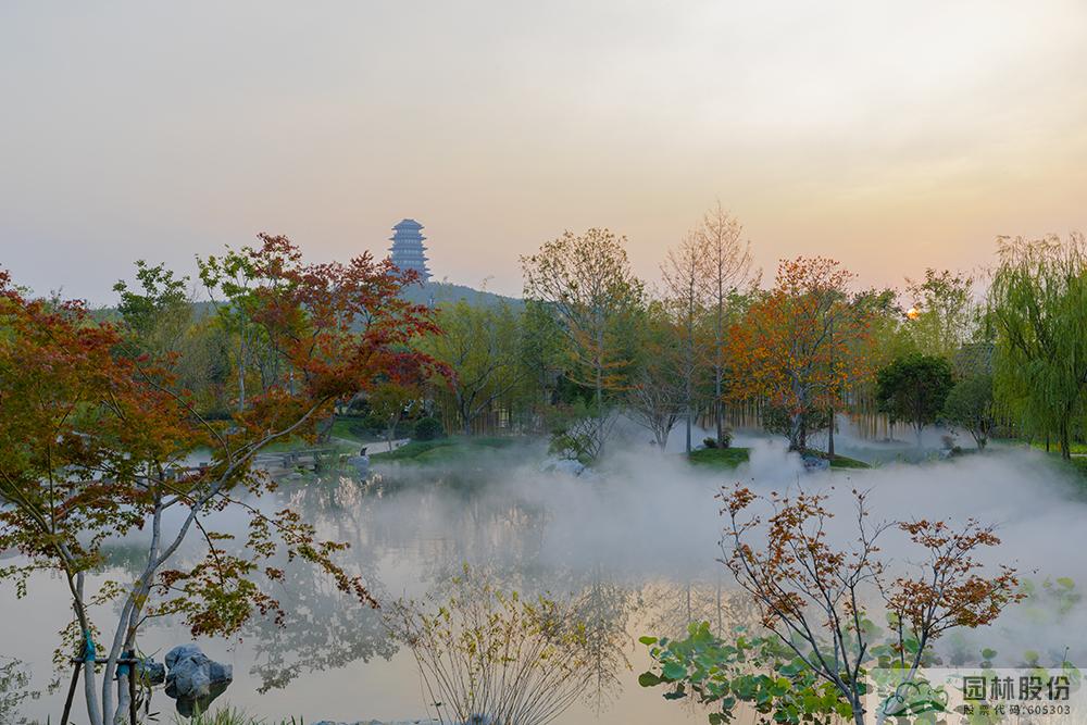 亚洲精品白浆高清久久久久久