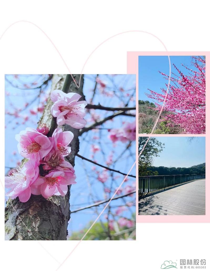 亚洲精品白浆高清久久久久久