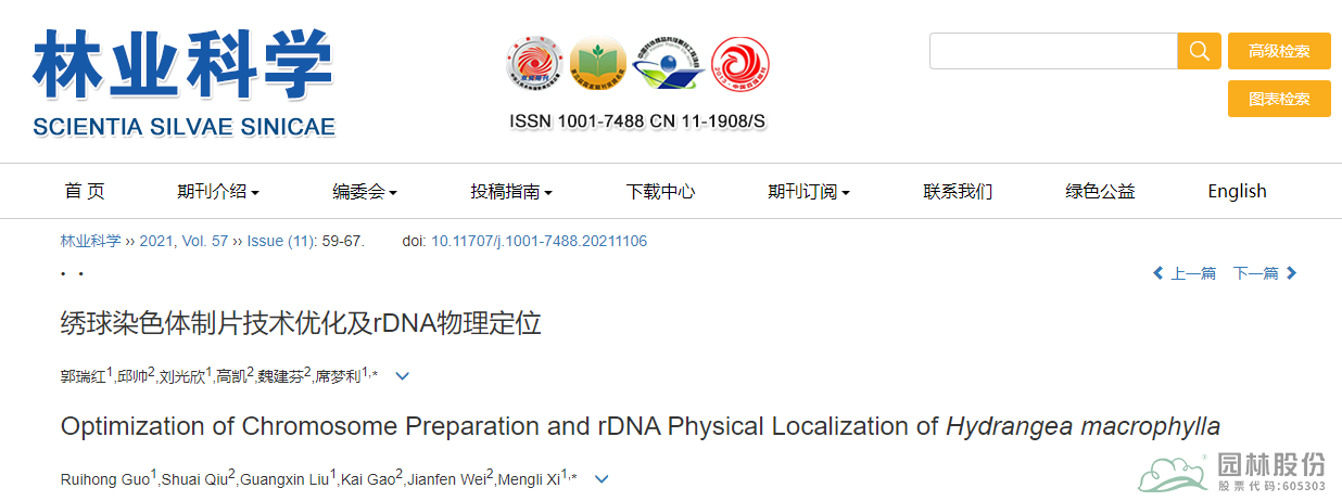 亚洲精品白浆高清久久久久久