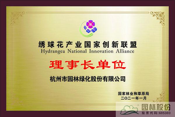 亚洲精品白浆高清久久久久久