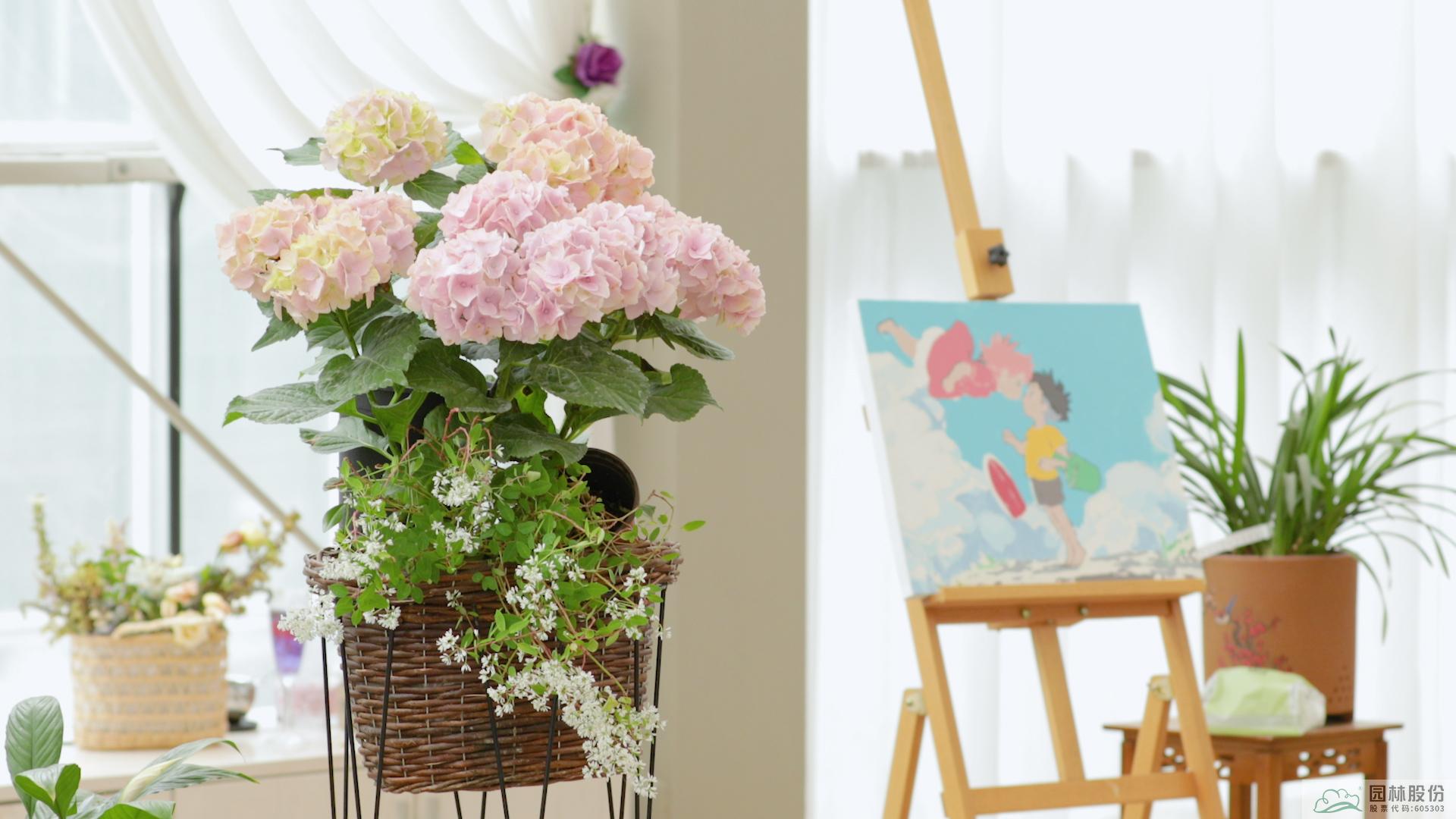 亚洲精品白浆高清久久久久久