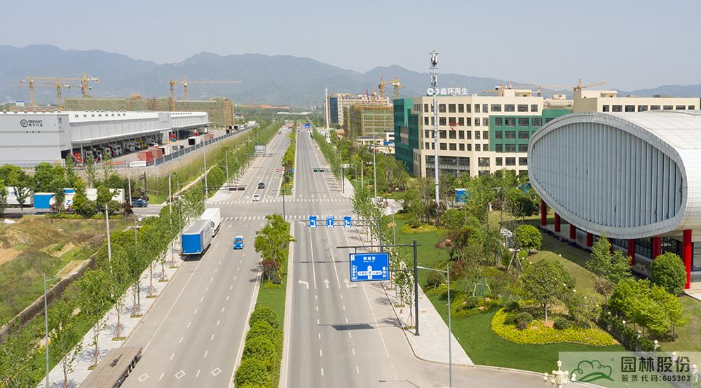 亚洲精品白浆高清久久久久久