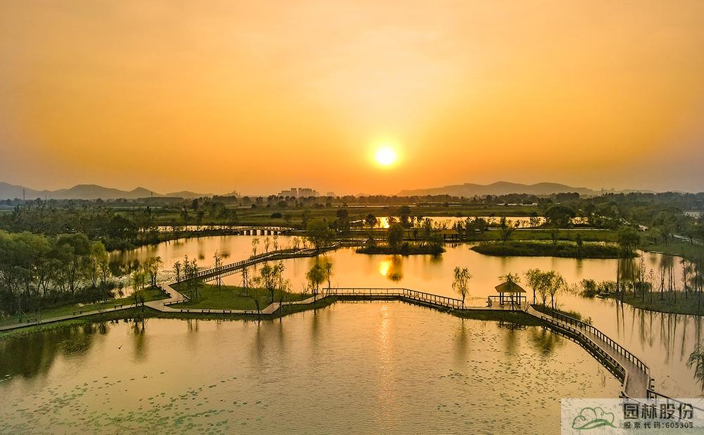 亚洲精品白浆高清久久久久久