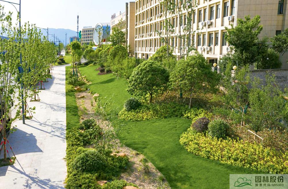 亚洲精品白浆高清久久久久久