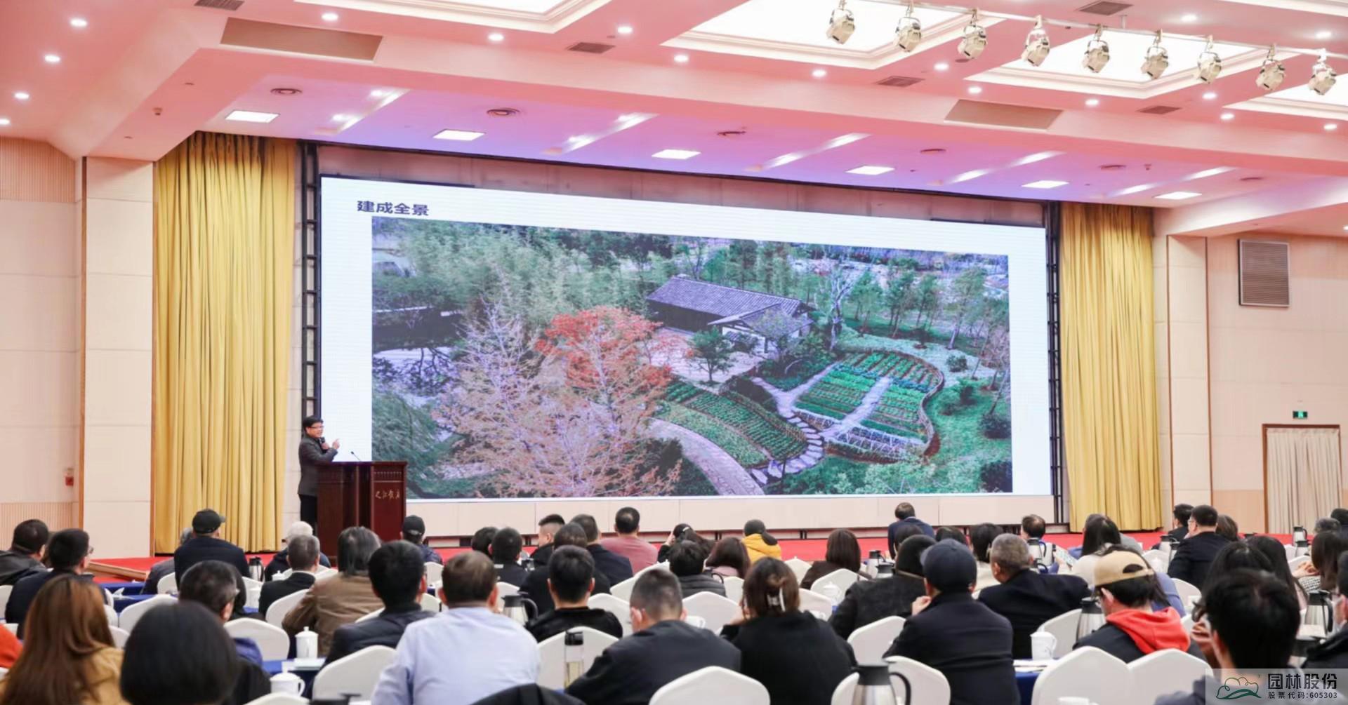 亚洲精品白浆高清久久久久久