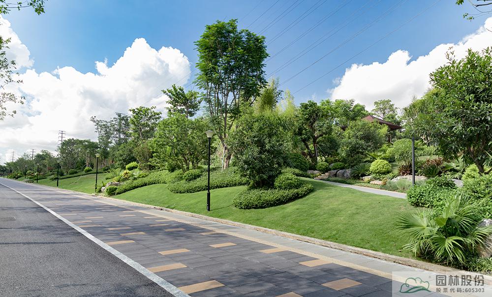 亚洲精品白浆高清久久久久久