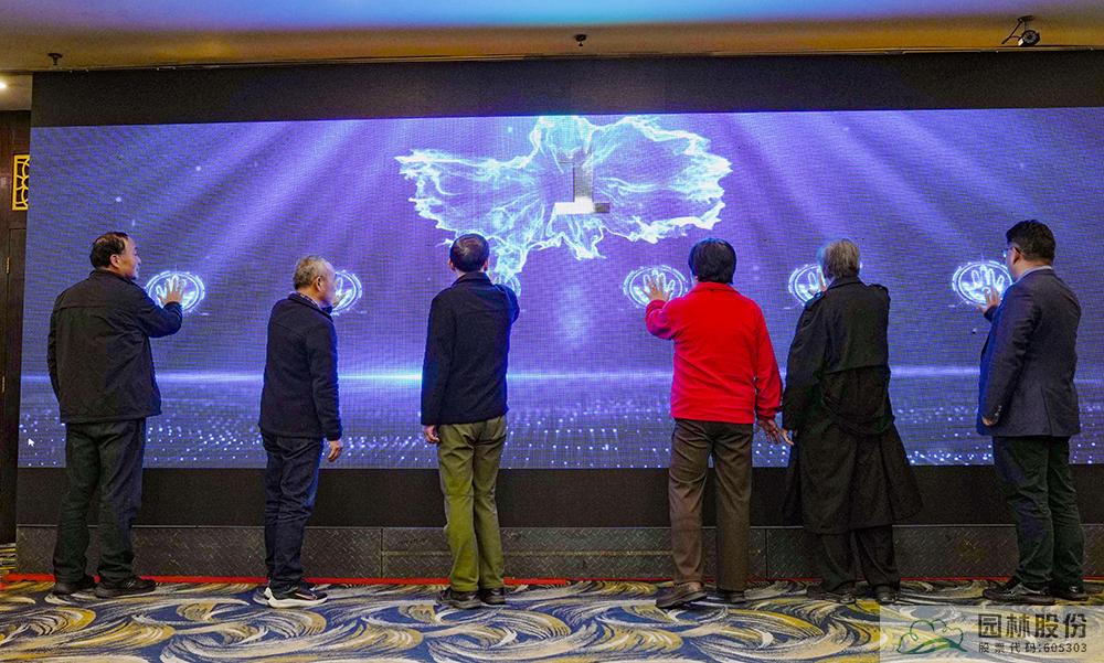 亚洲精品白浆高清久久久久久