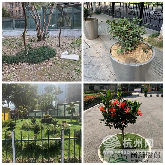 亚洲精品白浆高清久久久久久