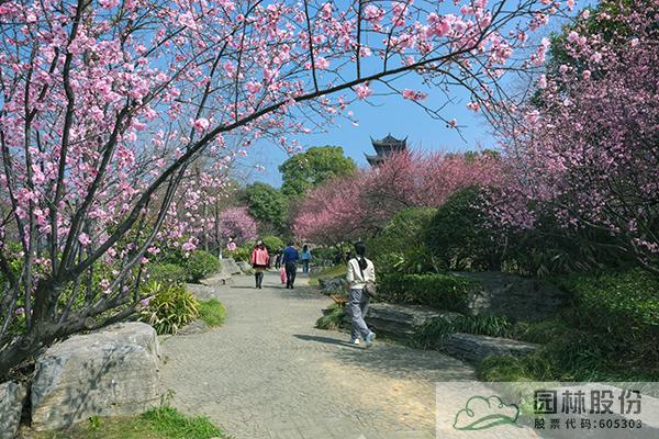 亚洲精品白浆高清久久久久久