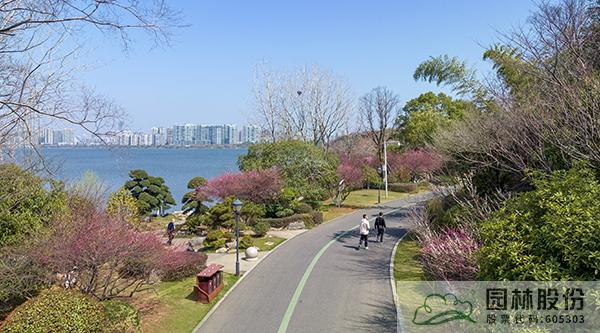 亚洲精品白浆高清久久久久久