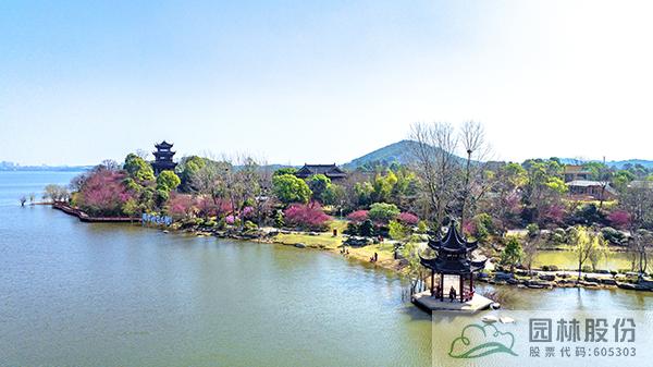 亚洲精品白浆高清久久久久久