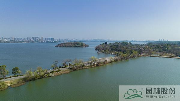 亚洲精品白浆高清久久久久久