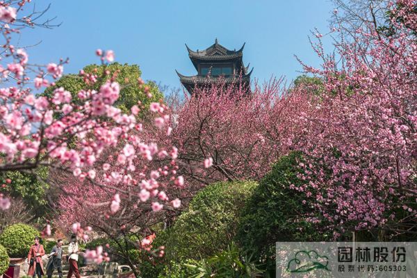 亚洲精品白浆高清久久久久久