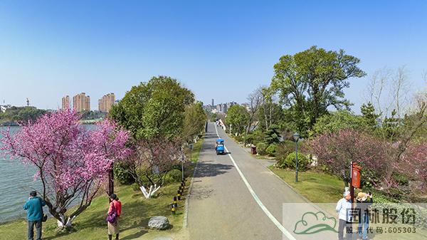 亚洲精品白浆高清久久久久久