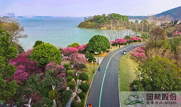 亚洲精品白浆高清久久久久久