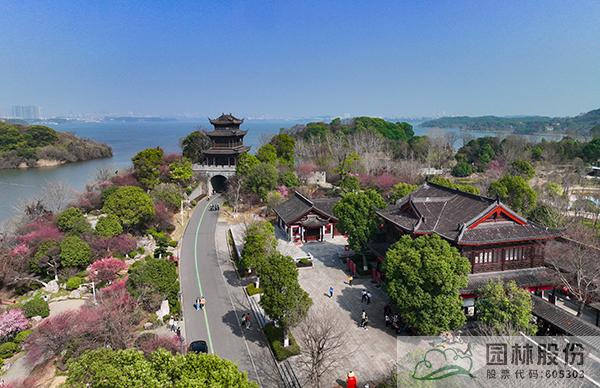 亚洲精品白浆高清久久久久久