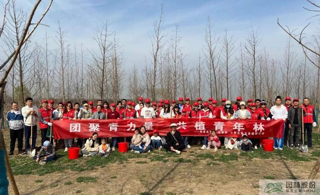 亚洲精品白浆高清久久久久久