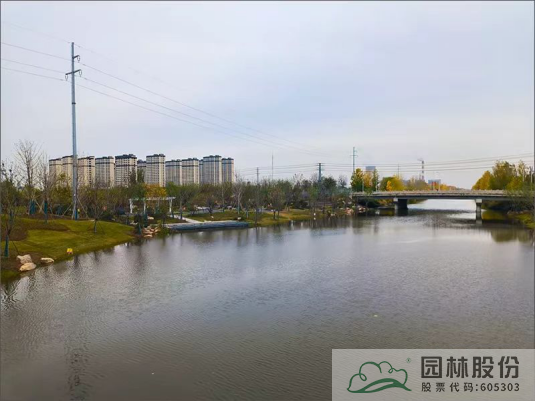 亚洲精品白浆高清久久久久久