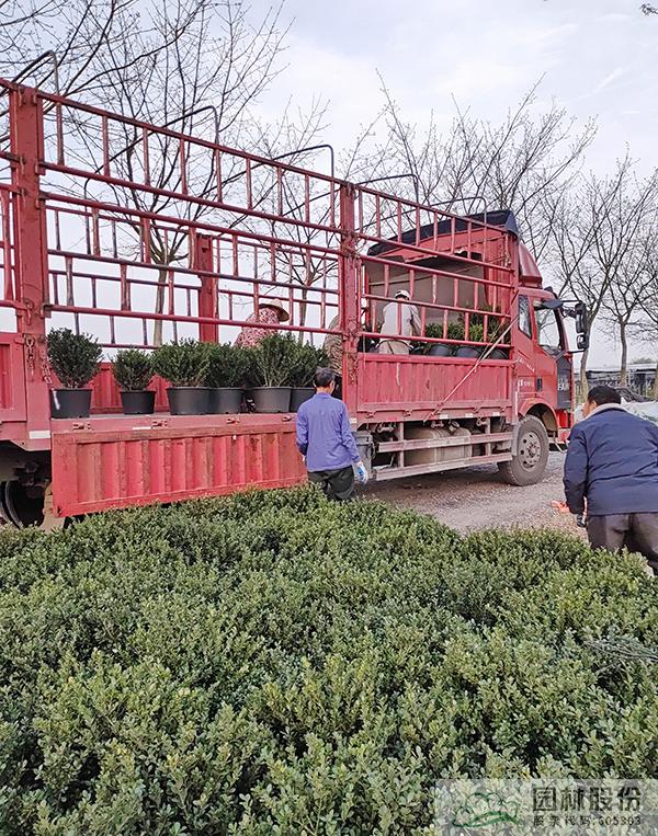 亚洲精品白浆高清久久久久久