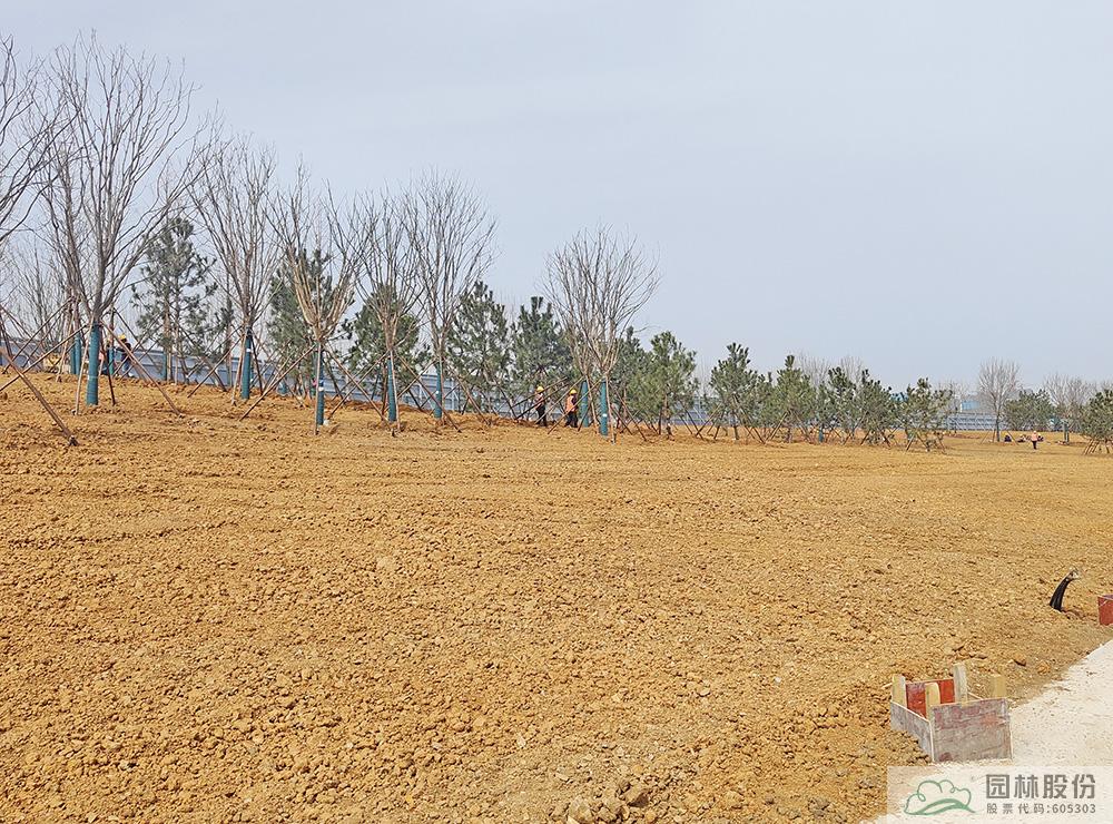 亚洲精品白浆高清久久久久久